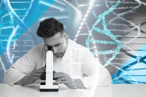 Genetic testing. Double exposure of laboratory worker using microscope at t.. Stock Photos