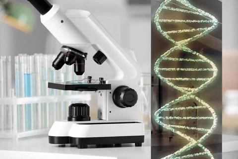 Genetic testing. Microscope and illustration of DNA structure in laboratory Foto stock