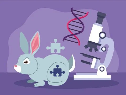 Genetic testing rabbit Stock Illustration