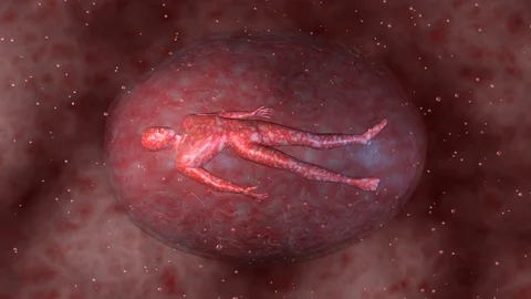 Genetically engineered clone . 3d animation. Video stock 95025408