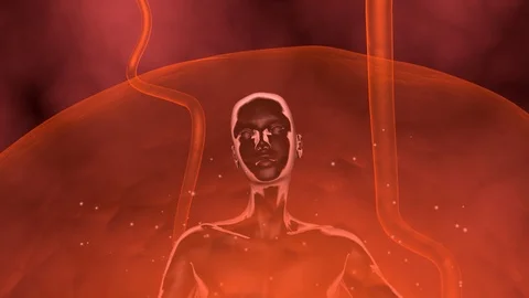 Genetically engineered human clone suspended in red fluid membrane. 3d animation Stock Footage 114875546