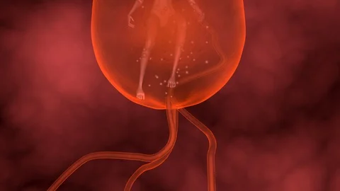 Genetically engineered human clone suspended in red fluid membrane. 3d animation Stock-Footage 114875552
