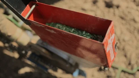 Genetically Engineered Seeds Ready to Plant Stock Footage 94688625