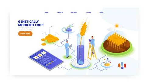 Genetically modified crop, landing page design, website banner vector template 스톡 일러스트
