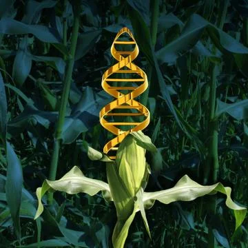 Genetically Modified Crops Stock Illustration