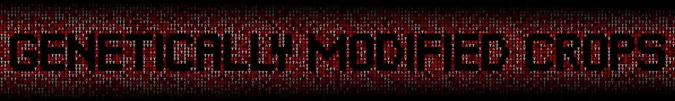 Genetically Modified Crops text on DNA genetic code background illustration Stock Illustration