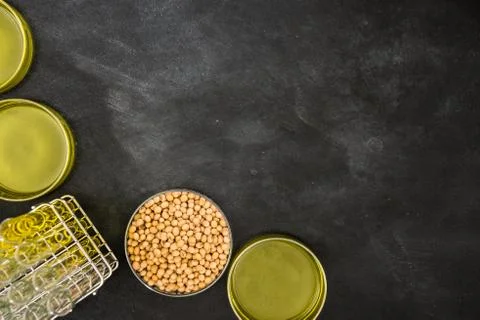 Genetically modified food concepts Stockfoto's