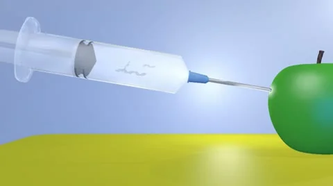 Genetically modified food Stock Footage 8962882