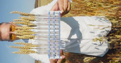 Genetically modified foods as a solution to the problem of hunger. An Stock Footage 201469563