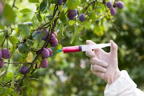 Genetically modified fruit Stock Photos