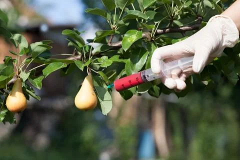 Genetically modified fruit Stock Photos