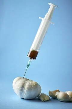 Genetically modified garlic Stock Photos