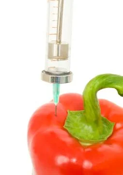 Genetically modified object - pepper Stock Photos