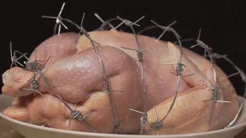 Genetically modified organism. GMO chicken on black background Stock Footage 104716647