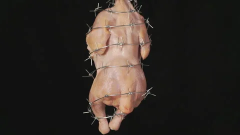 Genetically modified organism. GMO meat on black background 動画素材 104716488