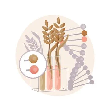 Genetically modified plants abstract concept vector illustration. 스톡 일러스트