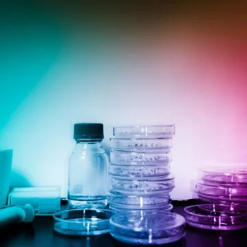 Genetically modified plants test Stock Photos