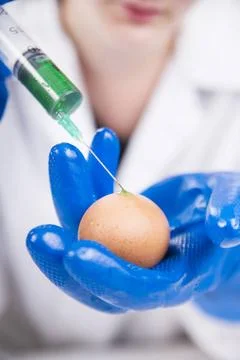 Genetically modified Presentation of the laboratory stage to the practice ... Foto stock