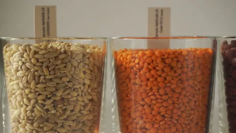 Genetically modified seed Stock Footage 104716621