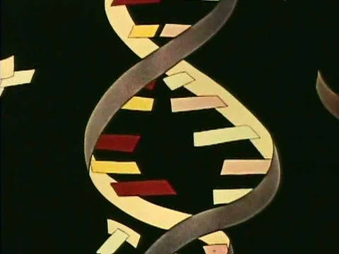 A geneticist in a studio talks to various people on TV screens about genetics. Stock Footage 75096447