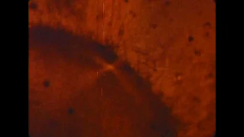 A geneticist in a studio talks to various people on TV screens about genetics. Stock Footage 106908066