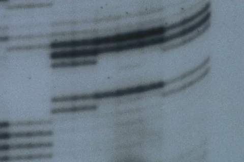 Genetics 01 Stock Footage 340696