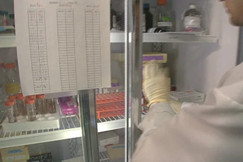 Genetics 02 Stock Footage 340712