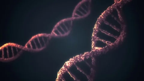Genetics concept. 3D rendered animation of rotating DNA molecules in chromosomes Stock Footage 73318596