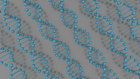 Genetics concept. Animation of DNA construction. Science or medical background. Stock Footage 115319858