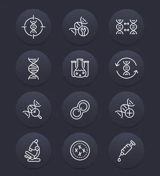 Genetics, dna chains, genetic research line icons set Stock Illustration