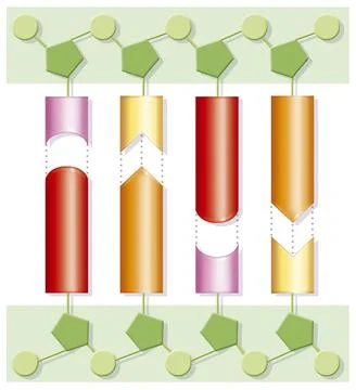  Genetics, dna Chemical structure of the DNA Chemical representation of a ... Stock-Fotos