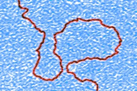  Genetics, dna Digital light microscope. Copyright: xCAVALLINIxJAMESx/xBSI... Stock Photos