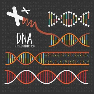 Genetics DNA structure Stock Illustration