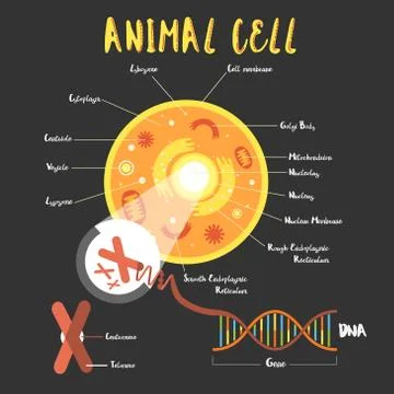 Genetics DNA structure Stock Illustration