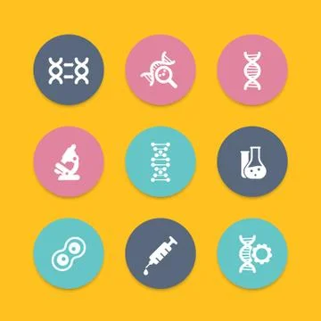 Genetics icons, dna chain vector, genetic modification, dna replication, gene Stock Illustration