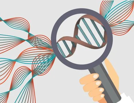 Genetics illustration.Human genome research vector illustration. Stock Illustration