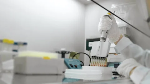 A genetics laboratory researcher drops samples with a multichannel pipette. Stock Footage 294158309
