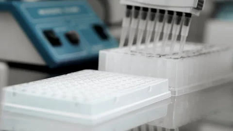 A genetics laboratory researcher drops samples with a multichannel pipette. Video stock 294158345