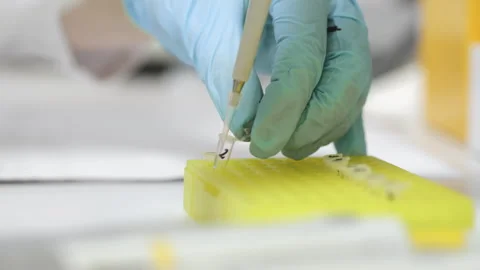 A genetics laboratory researcher drops samples with a pipette. Stock Footage 294160915