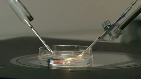 Genetics Manipulation Stock Footage 20510063