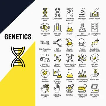 Genetics science icons collection featuring DNA double helix, chromosome, m.. Stock Illustration