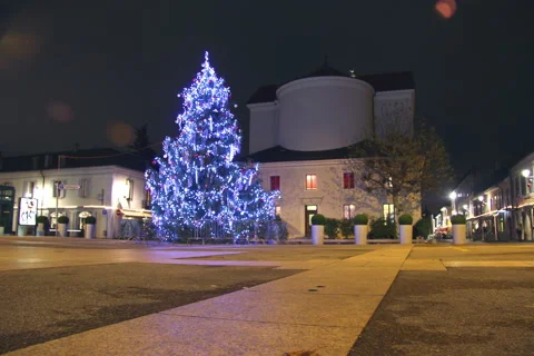 Geneva at christmas Stock-Footage 46010616