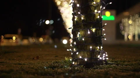 Geneva at christmas Stock Footage 46013324