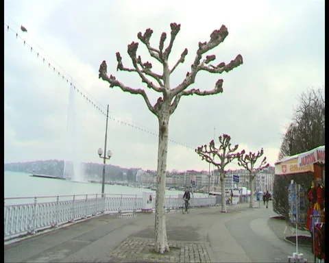 Geneva Video stock 87914942