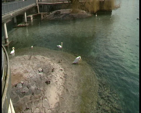 Geneva Stock Footage 87915773