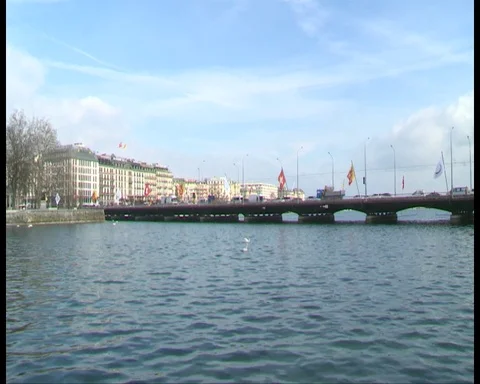 Geneva gayser Video stock 87915751