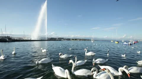 Geneva - Lake Stockbeeldmateriaal 12366499