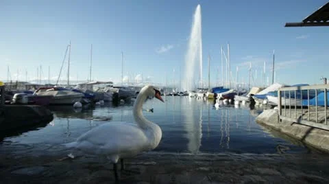 Geneva - Lake Stockbeeldmateriaal 12366671