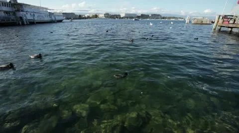 Geneva - Lake Stock Footage 12366703