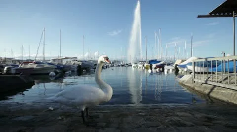 Geneva - Lake Stock Footage 12366752
